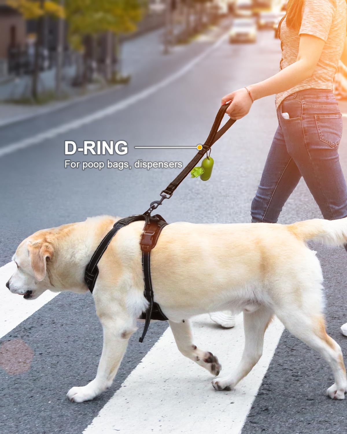 Joytale Strong Short Dog Leash