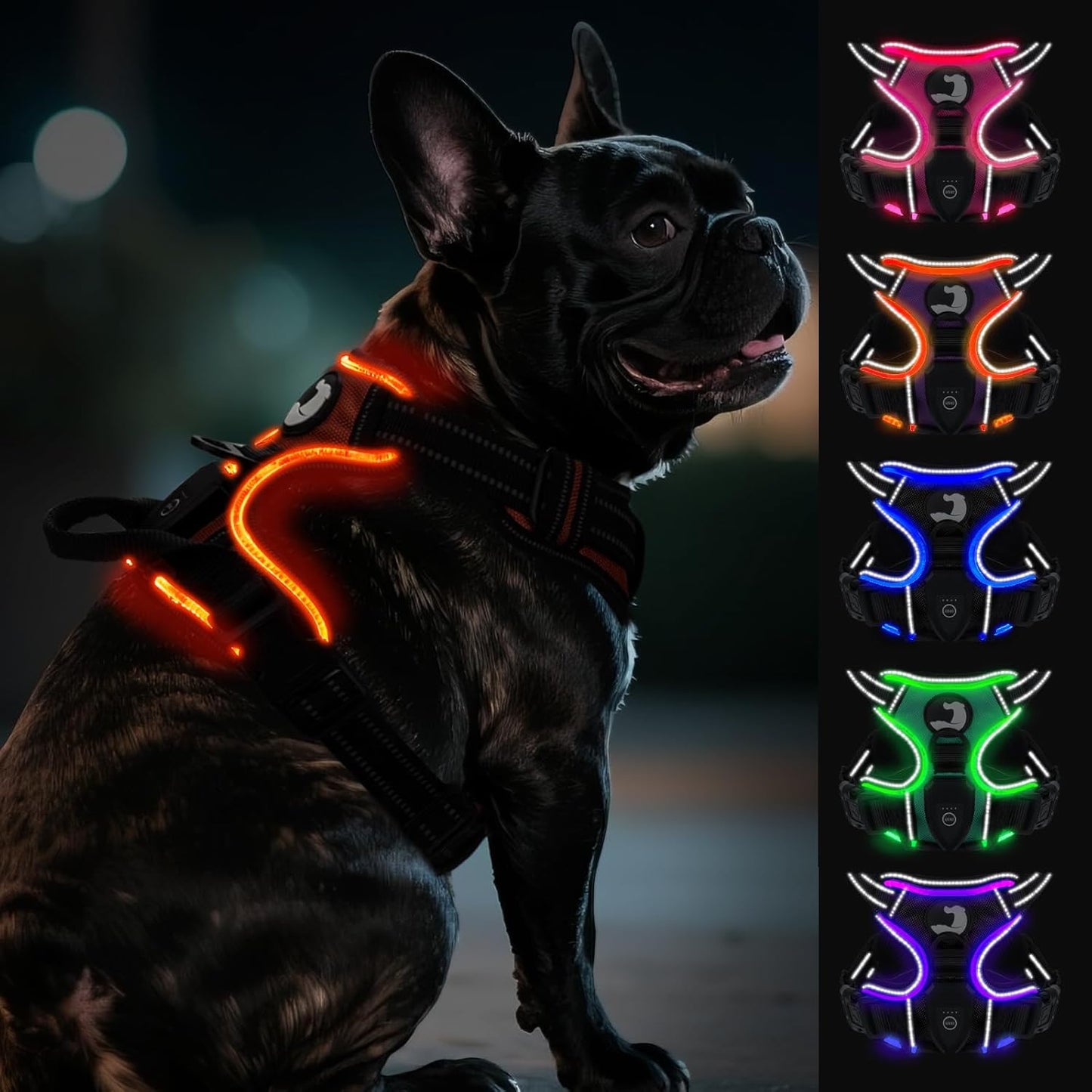 Joytale Light Up Dog Harness