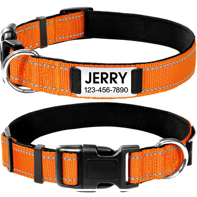 JOYTALE Personalized Dog Collar