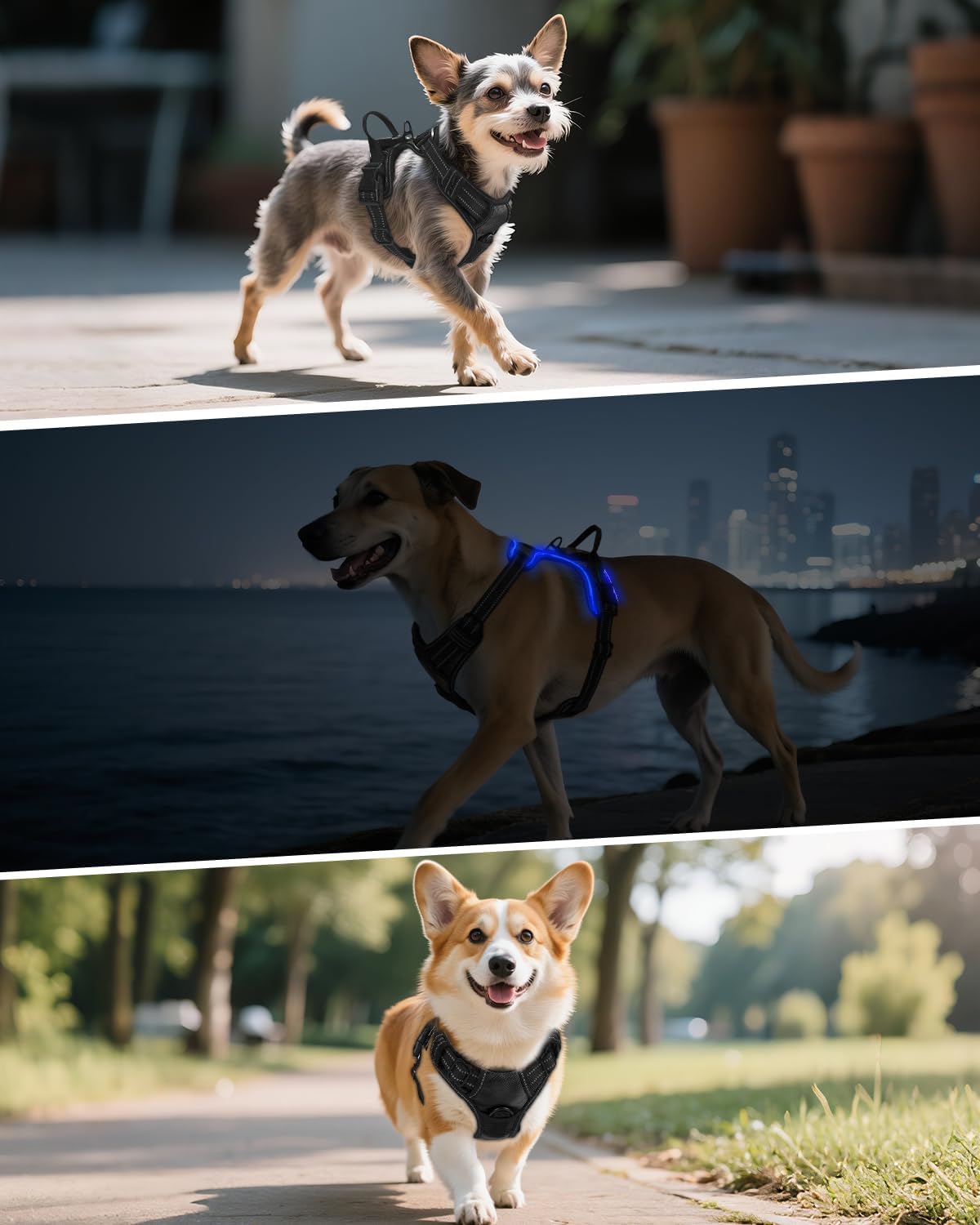 Joytale Light Up Dog Harness