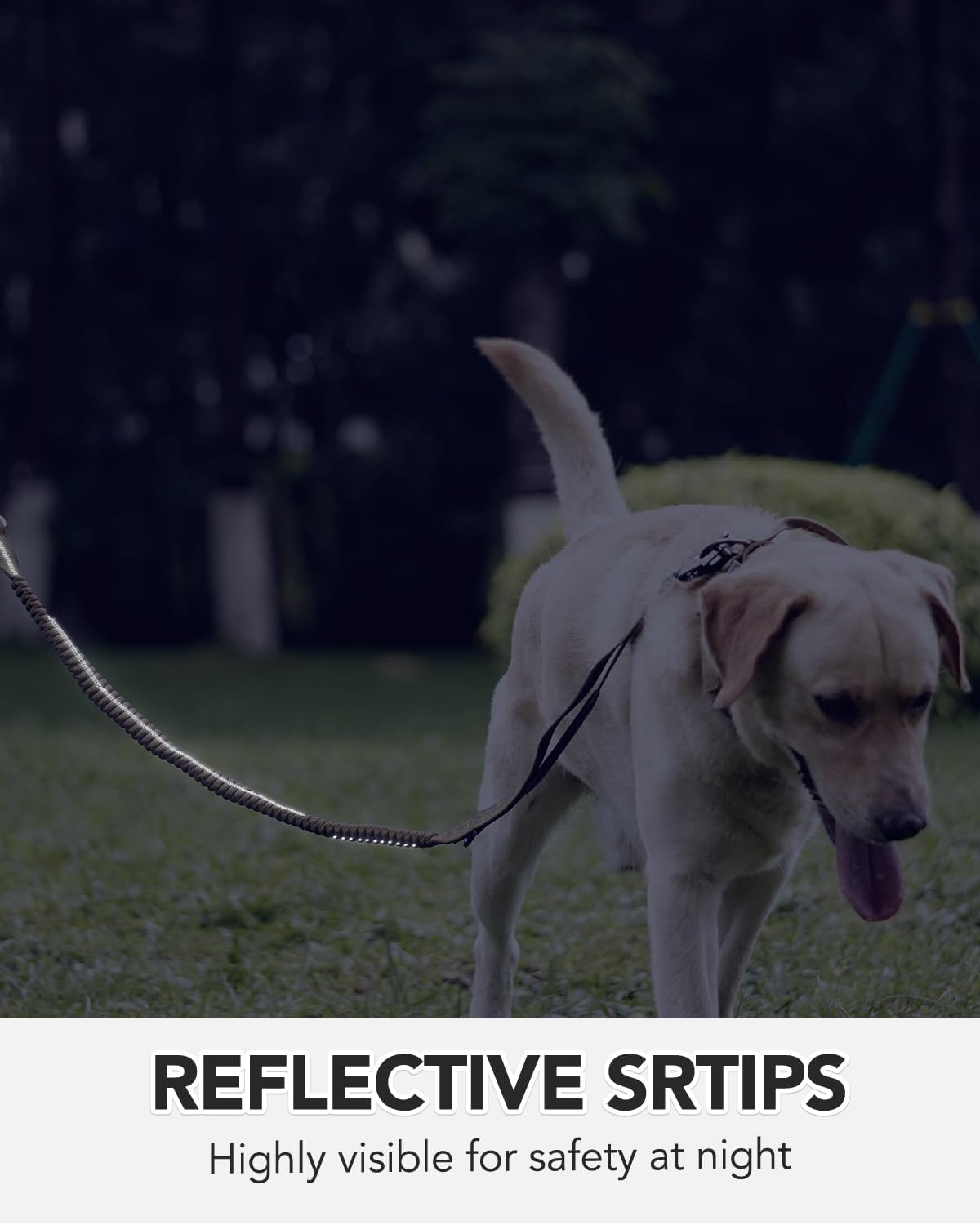 JOYTALE Shock Absorbing Bungee Heavy Duty Tactical Dog Leash with 2 Padded Handle