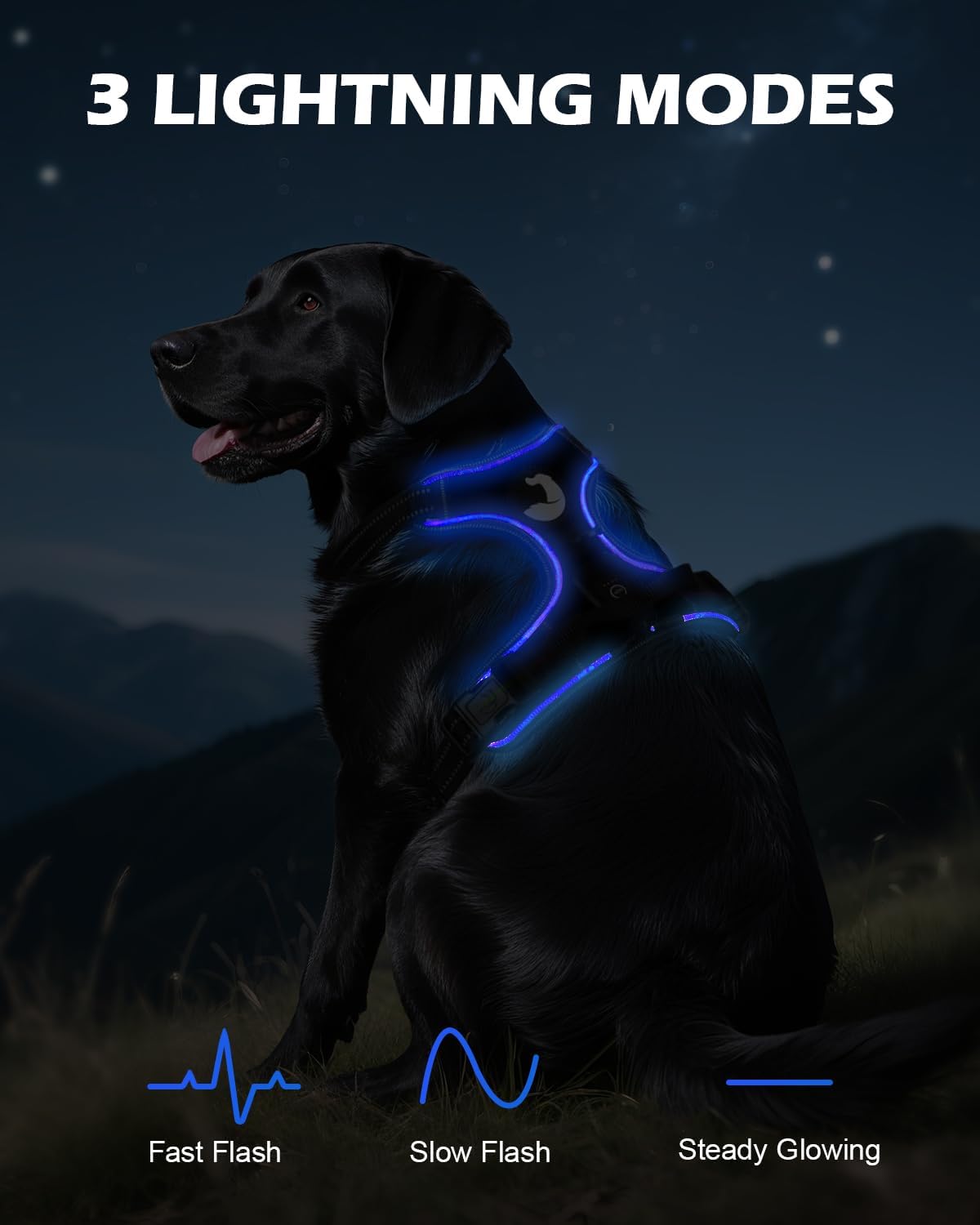 Joytale Light Up Dog Harness