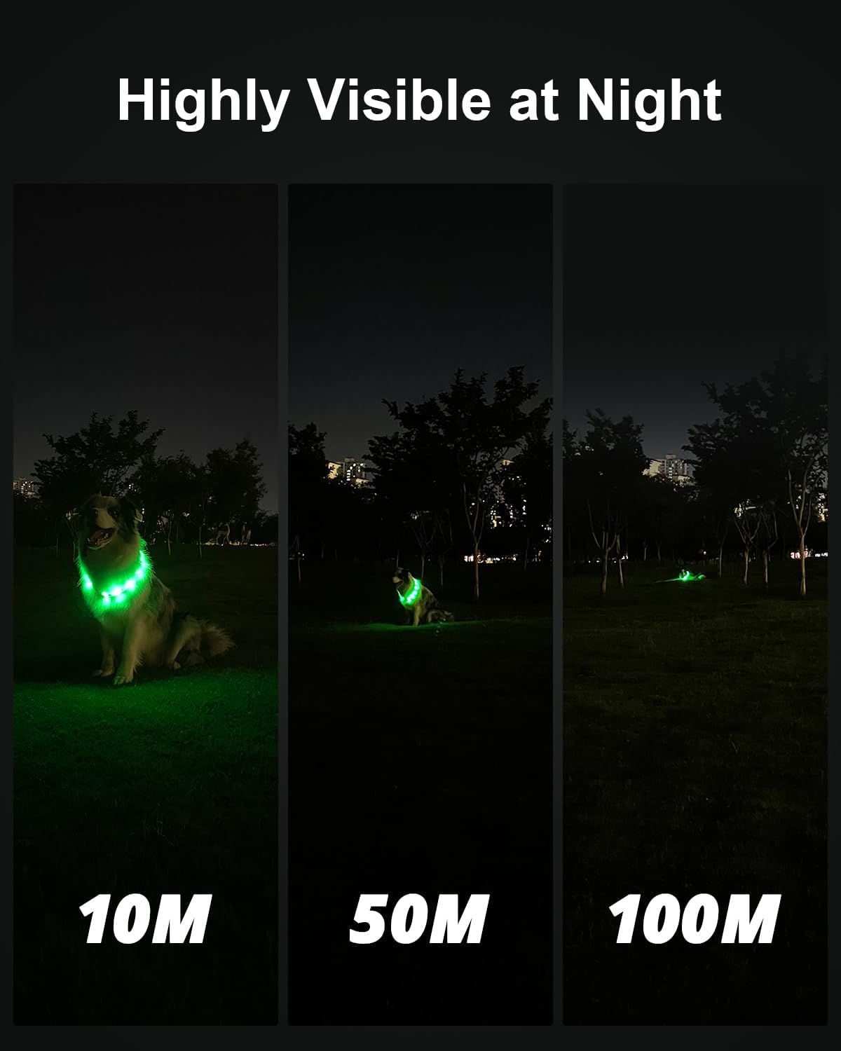 Joytale Light Up Dog Collar, Rainproof and Rechargeable LED