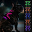 Joytale Light Up Dog Harness