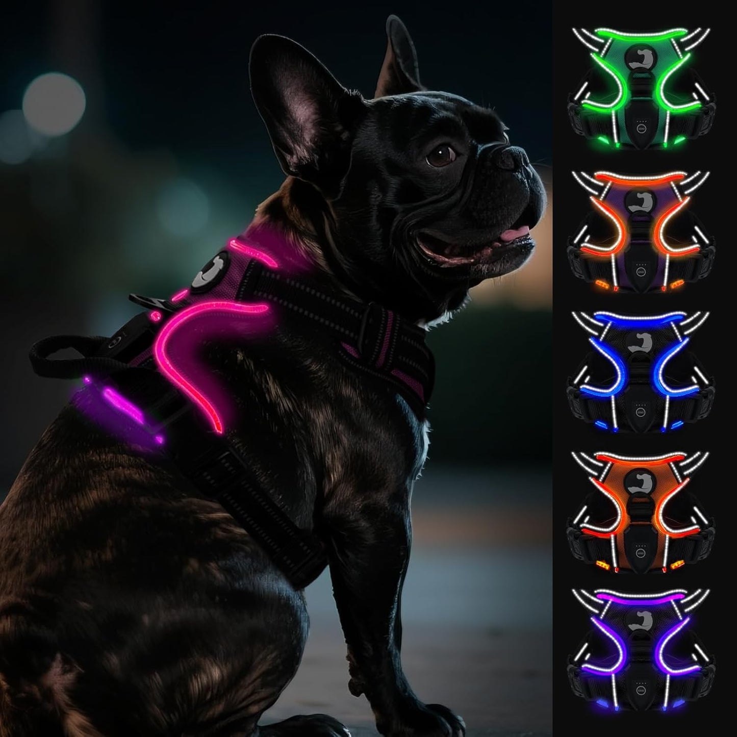 Joytale Light Up Dog Harness