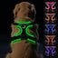 Joytale Light Up Dog Harness