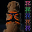 Joytale Light Up Dog Harness