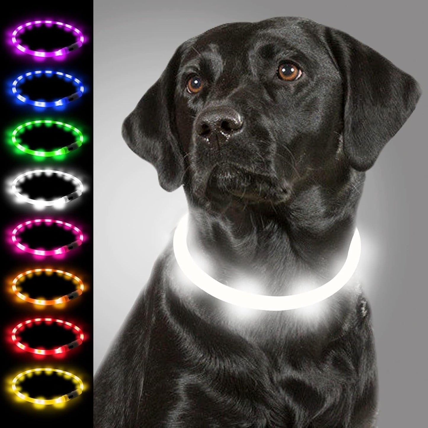 Joytale Leuchthalsband Hund USB Aufladbar Hundehalsband Leuchtend für Große Mittel Kleine Hunde und Welpe, Led Halsband mit 3 Modi für Sicherheit, Weiß