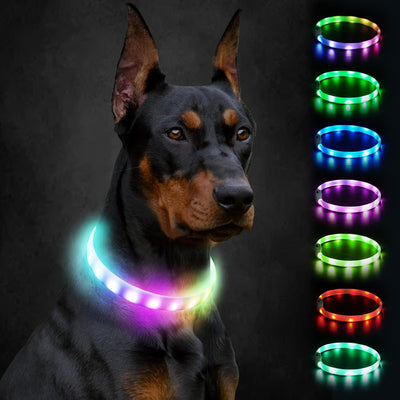 Joytale Light Up Dog Collar, Rainproof and Rechargeable LED