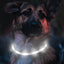 Joytale Leuchthalsband Hund USB Aufladbar Hundehalsband Leuchtend für Große Mittel Kleine Hunde und Welpe, Led Halsband mit 3 Modi für Sicherheit, Weiß