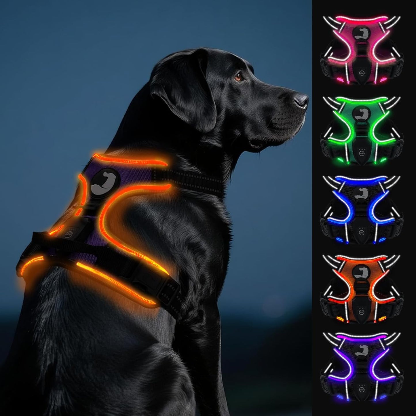 Joytale Light Up Dog Harness