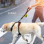 Joytale Strong Short Dog Leash