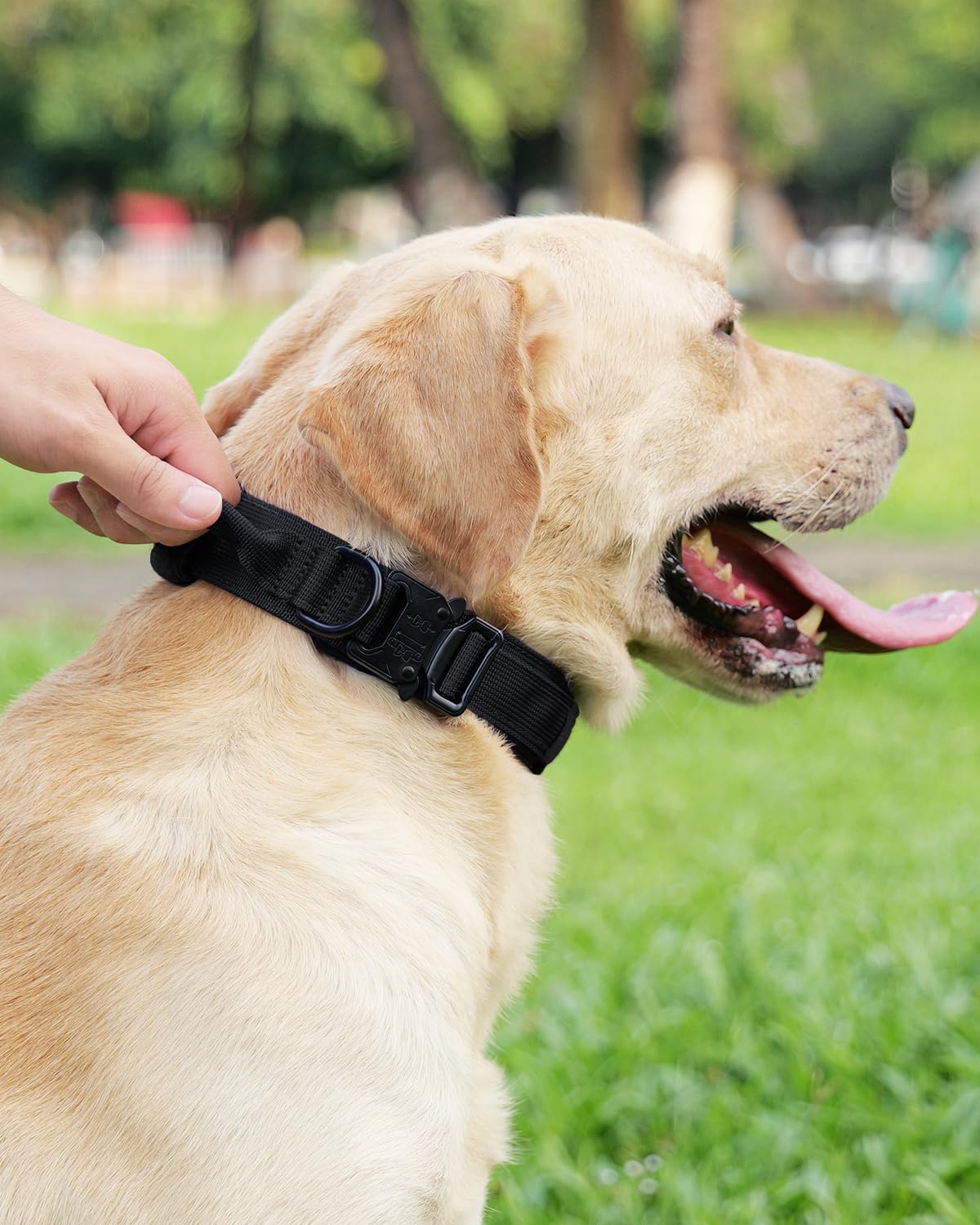 Joytale Tactical Dog Collar