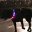 Joytale Light Up Dog Collar, Rainproof and Rechargeable LED