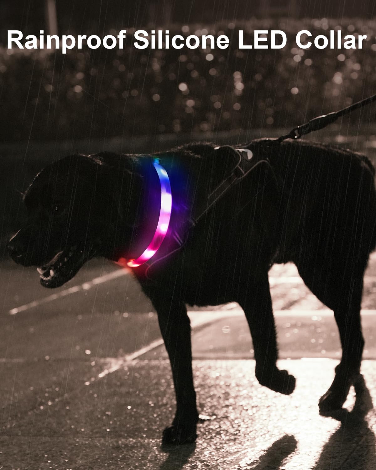 Joytale Light Up Dog Collar, Rainproof and Rechargeable LED