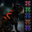 Joytale Light Up Dog Harness