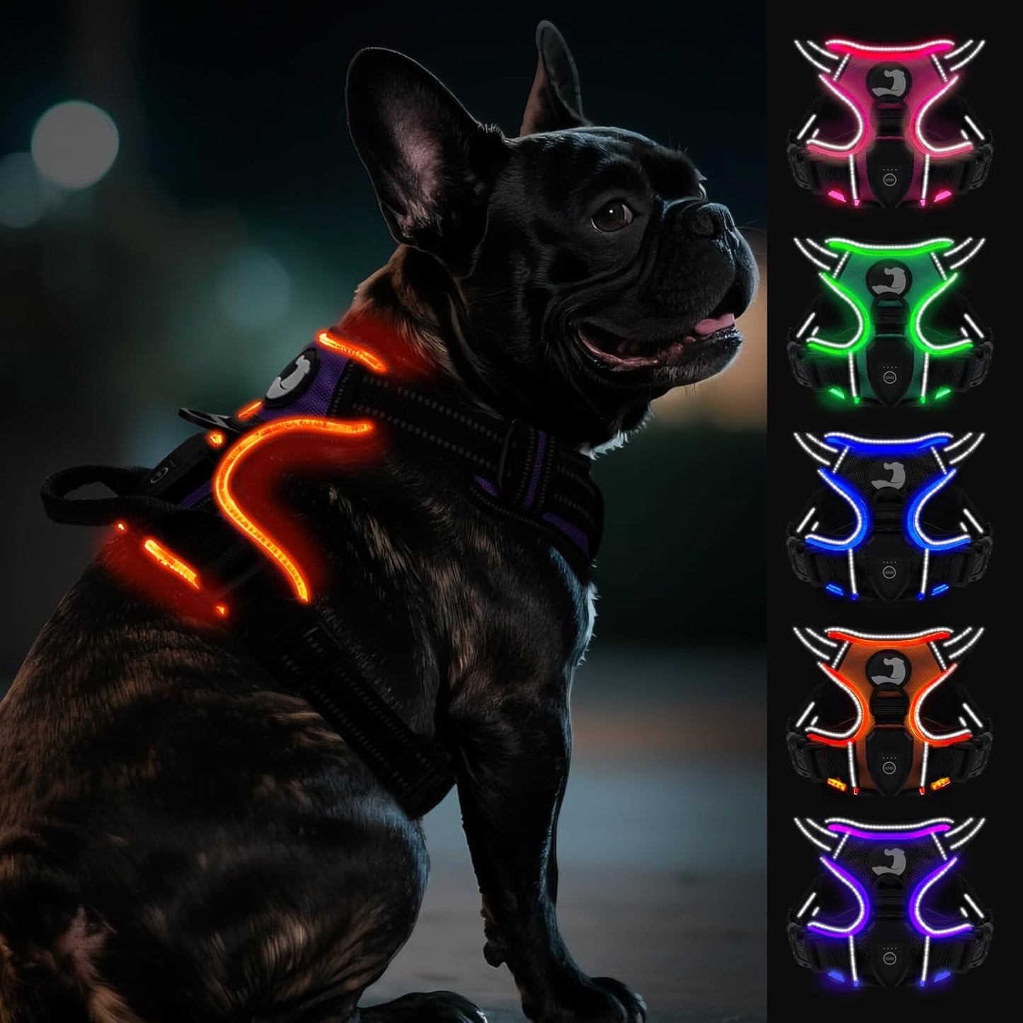 Joytale Light Up Dog Harness