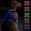 Joytale Light Up Dog Harness