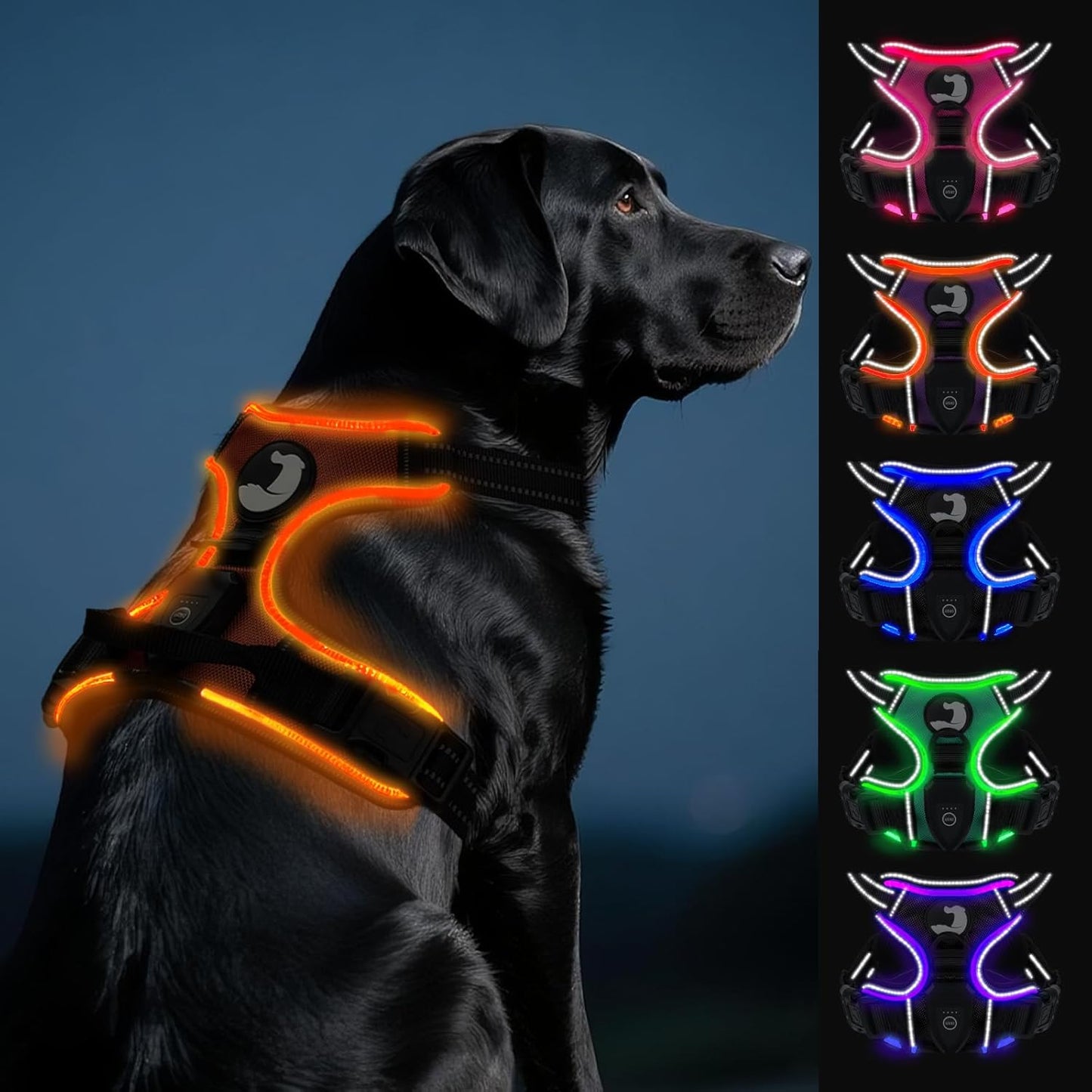 Joytale Light Up Dog Harness