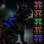Joytale Light Up Dog Harness