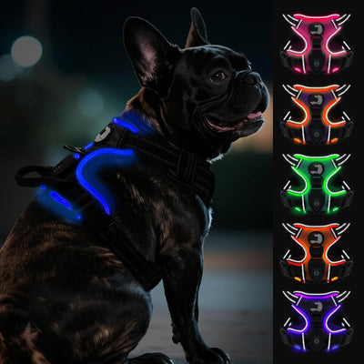 Joytale Light Up Dog Harness