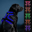 Joytale Light Up Dog Harness