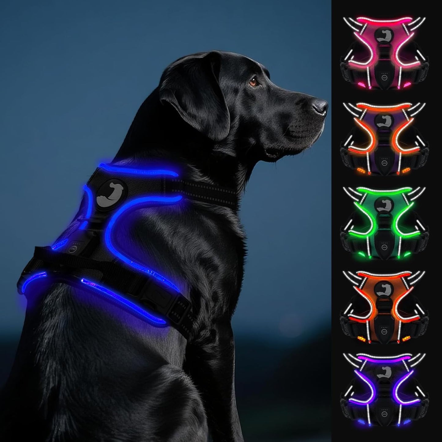 Joytale Light Up Dog Harness
