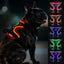 Joytale Light Up Dog Harness