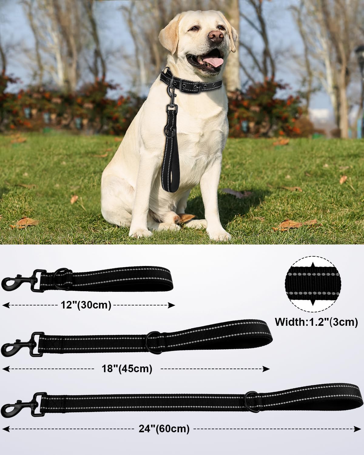 Joytale Strong Short Dog Leash