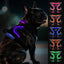 Joytale Light Up Dog Harness