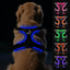 Joytale Light Up Dog Harness