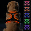 Joytale Light Up Dog Harness