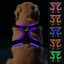 Joytale Light Up Dog Harness