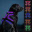 Joytale Light Up Dog Harness