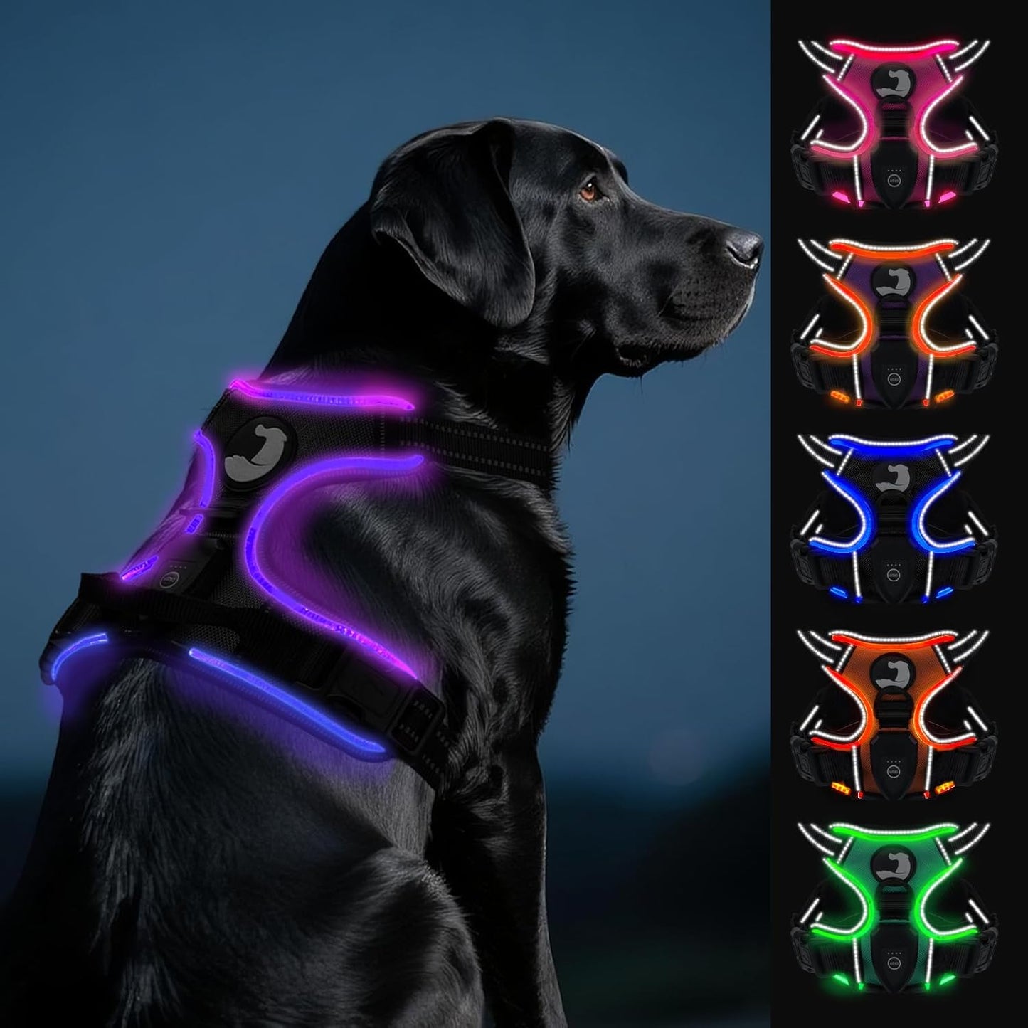 Joytale Light Up Dog Harness