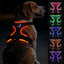 Joytale Light Up Dog Harness