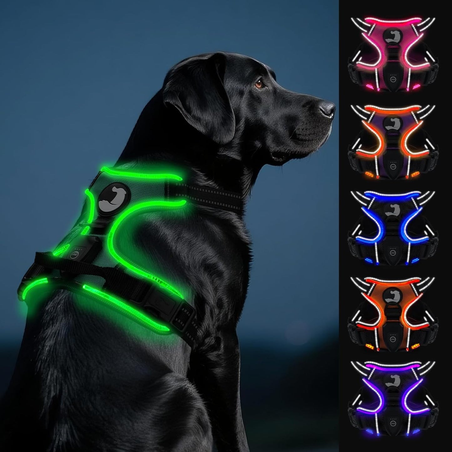 Joytale Light Up Dog Harness