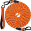 JOYTALE Double Hook Long Training Leash with Removable Padded Handle
