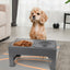 JOYTALE Elevated Dog Bowl Stainless Steel