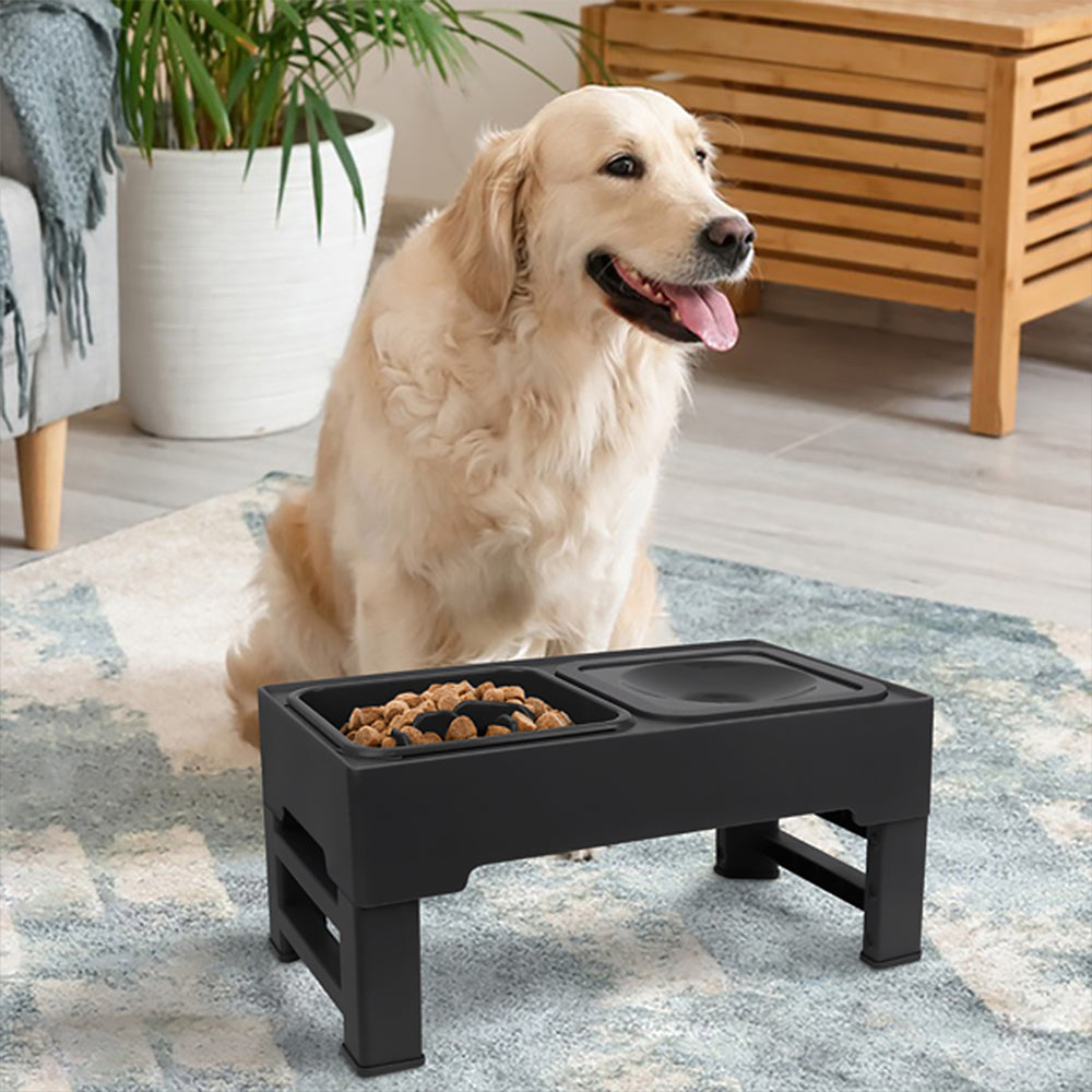 JOYTALE Elevated Dog Bowl Slow Feeder