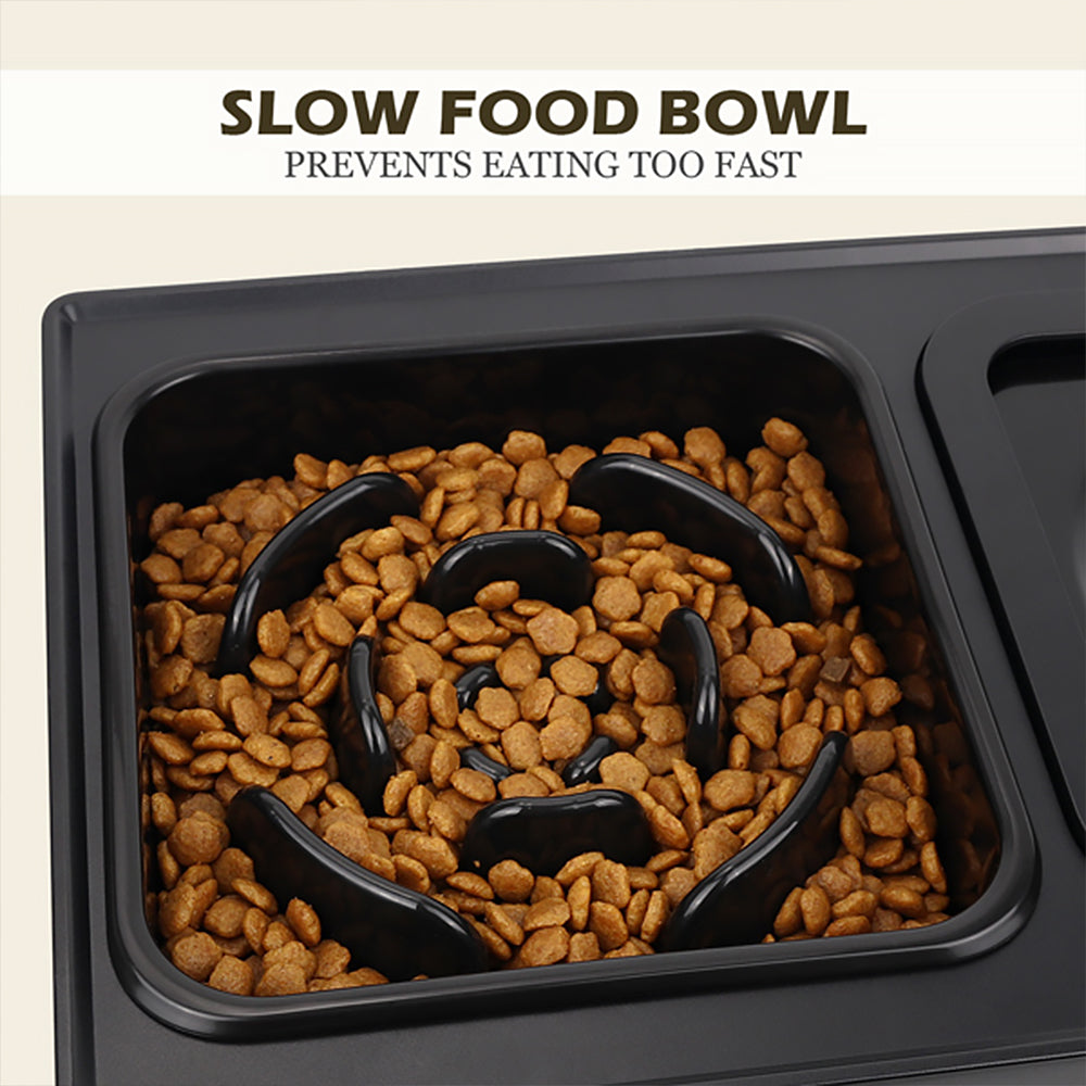 JOYTALE Elevated Dog Bowl Slow Feeder
