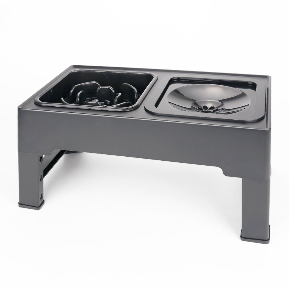 JOYTALE Elevated Dog Bowl Slow Feeder