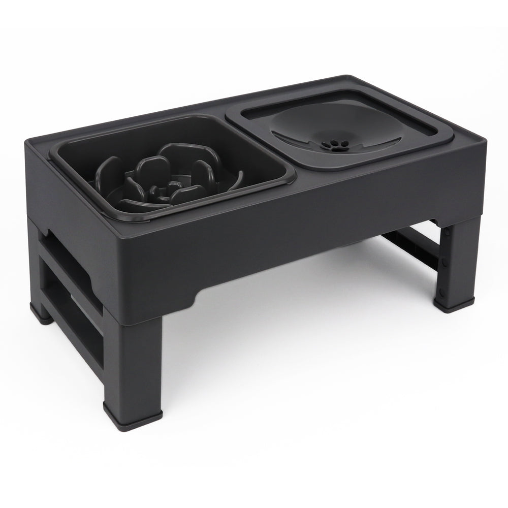 JOYTALE Elevated Dog Bowl Slow Feeder