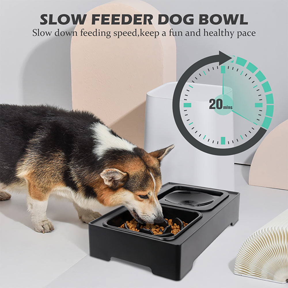 JOYTALE Elevated Dog Bowl Slow Feeder