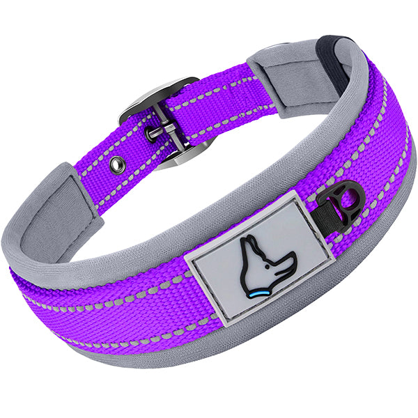 JOYTALE Heavy Duty Nylon Dog Collar