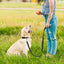 JOYTALE Reflective Nylon Dog Leash