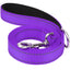 JOYTALE Reflective Nylon Dog Leash