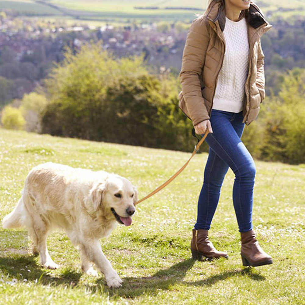 JOYTALE Reflective Nylon Dog Leash