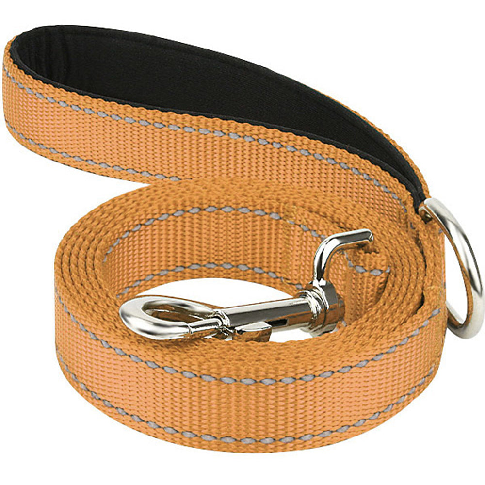 JOYTALE Reflective Nylon Dog Leash