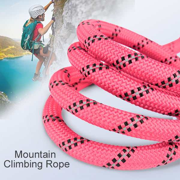 JOYTALE Robuste geflochtene Hundeleine aus Nylon 